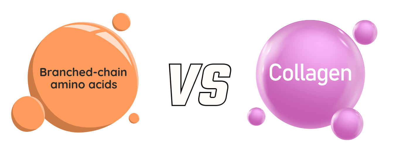 BCAAs vs Collagen